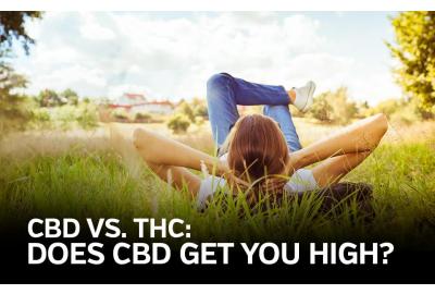 CBD vs. THC: Will CBD Get You High?