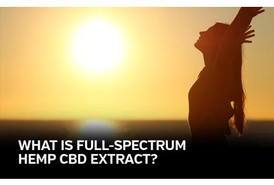 What is Full-Spectrum CBD Extract?