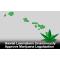 HAWAII: Lawmakers Unanimously Approve Marijuana Legalization Bill