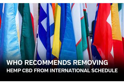 WHO Recommends Removing Hemp CBD from International Control