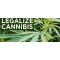Marijuana Regulations and Legalizations